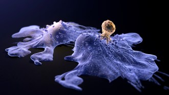 In this illustration, octopus-like cancer cells sprawl on a black background, while a small brown CAR-T cell sits atop one