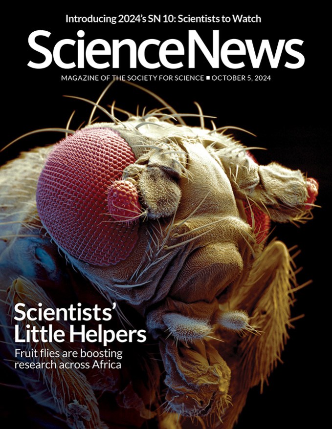 Cover of Science News' October 2024 issue featuring a fruit fly on the cover