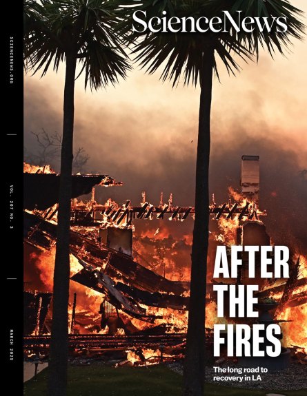 Cover of the March 2025 issue of Science News